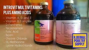 pharmaton for gamefowl benefits|Maximizing Gamefowl Health: The Essential Role of Vitamins:.
